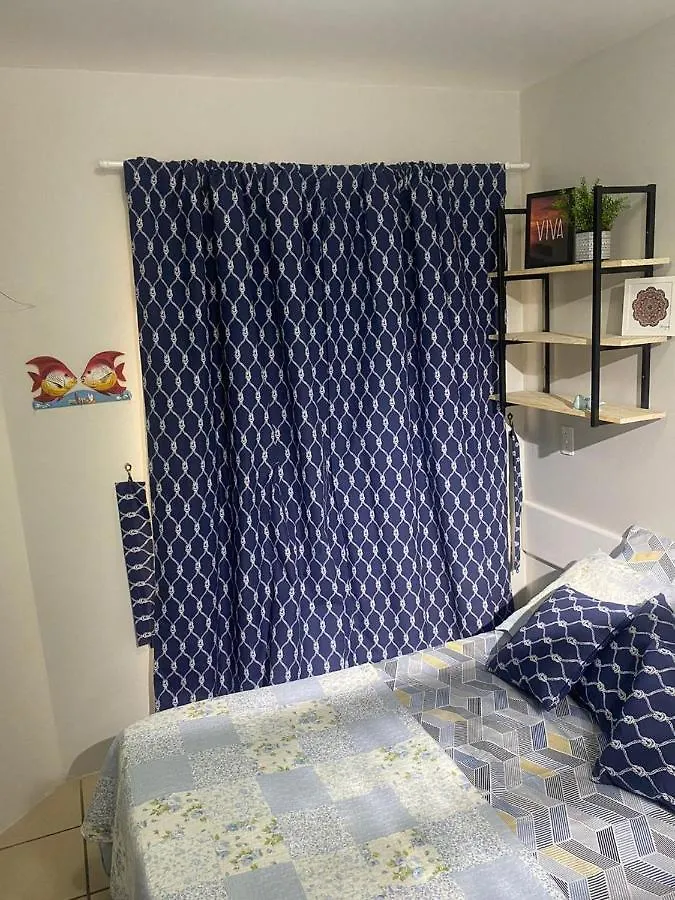 Kitnet Canasvieiras 100 Metros Da Praia Apartamento Florianópolis
